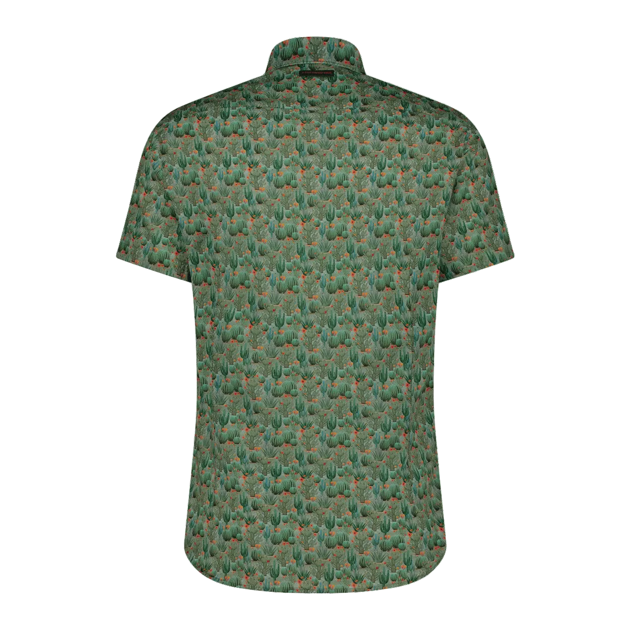 A Fish Named Fred Shirt Sleeve Cactus Print Shirt