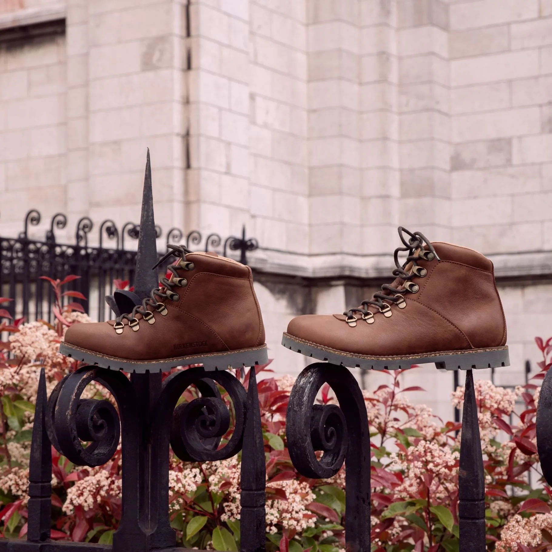 Birkenstock Jackson brown nubuck