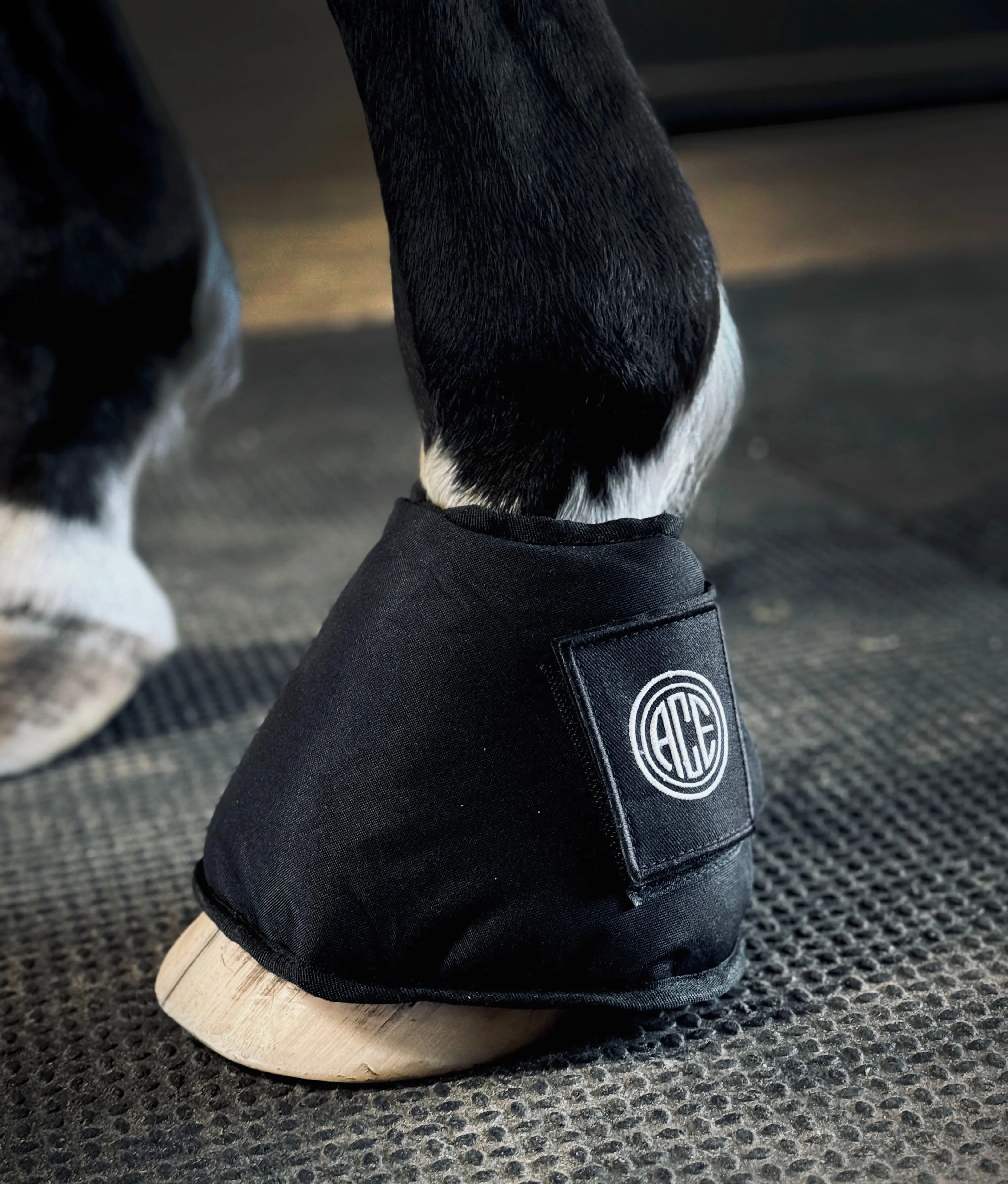 PRO4MANCE | KOLD FEET ICE BOOTS