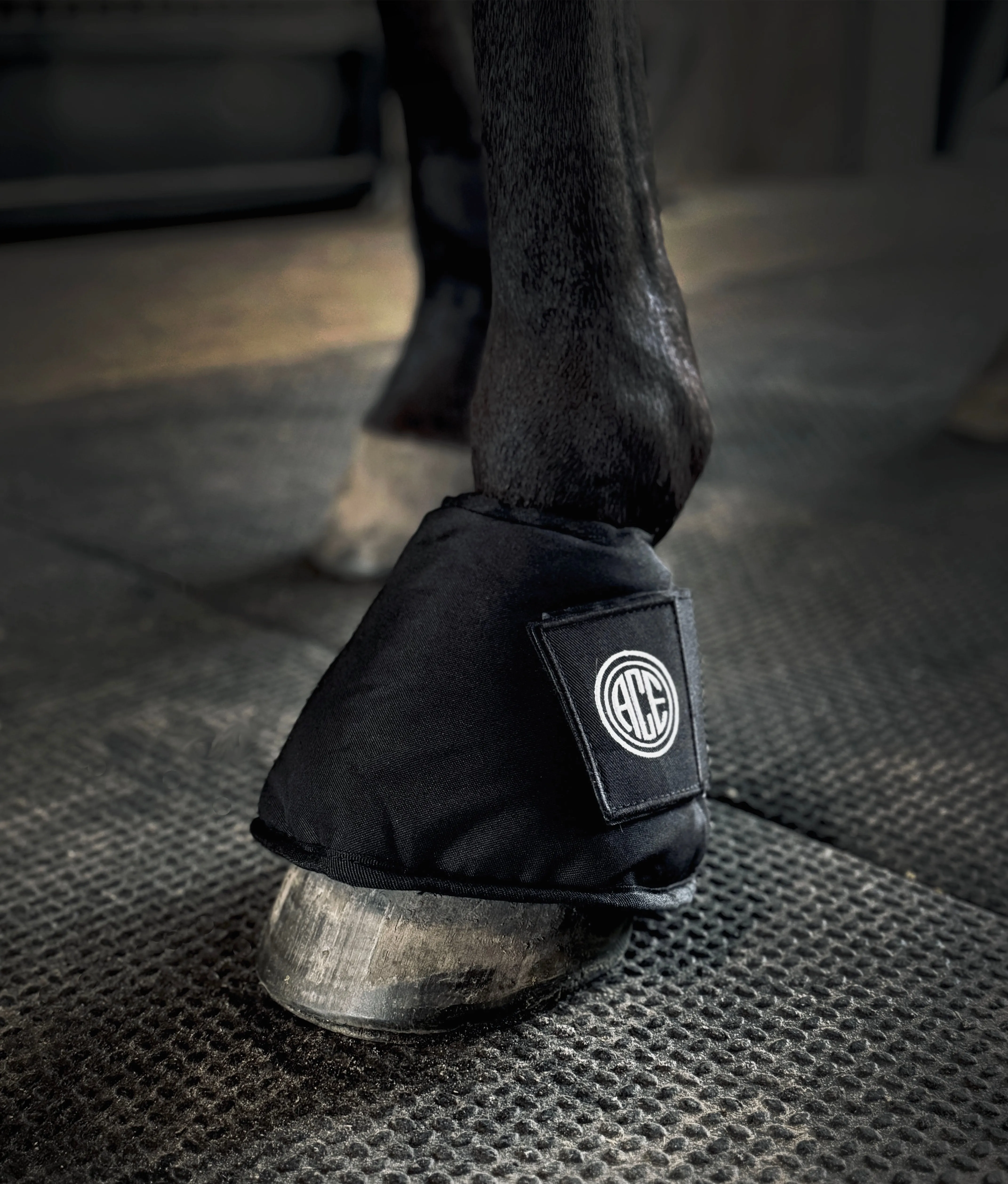 PRO4MANCE | KOLD FEET ICE BOOTS